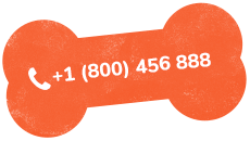 https://pettoparents.co.th/wp-content/uploads/2019/07/text_02.png