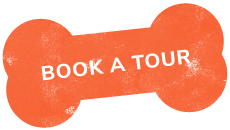 https://pettoparents.co.th/wp-content/uploads/2019/07/text_03.png