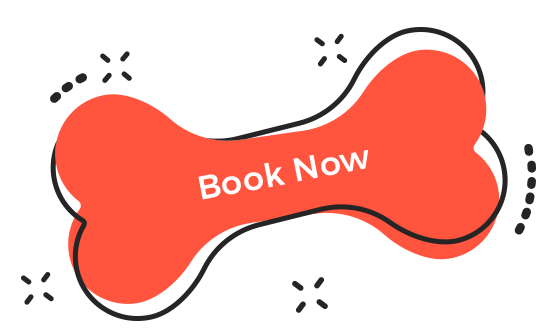 https://pettoparents.co.th/wp-content/uploads/2019/08/book_now.png